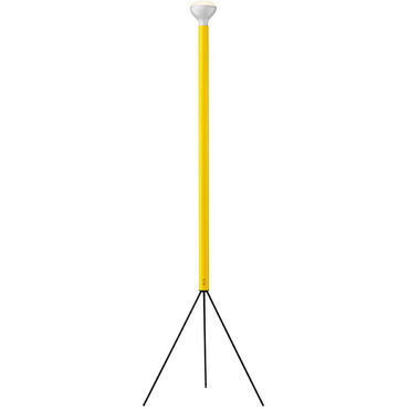 Luminator Floor Lamp