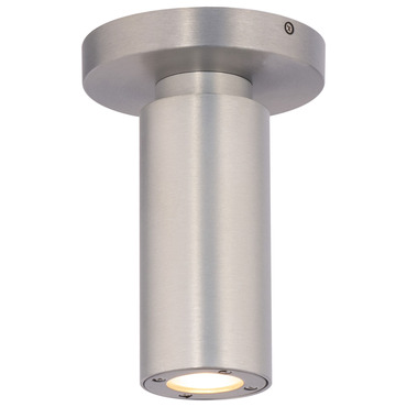 Caliber Outdoor Ceiling Light