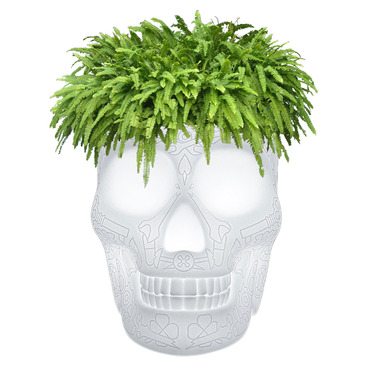 Mexico Portable LED Planter | Qeeboo at Lightology Mexico Portable LED Planter