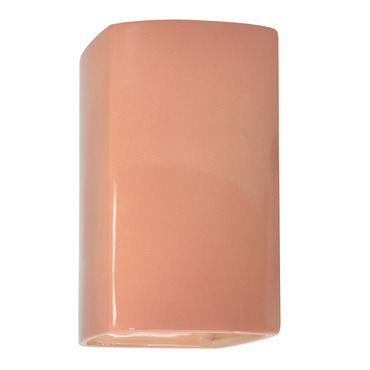Ambiance 5955 Outdoor Wall Sconce