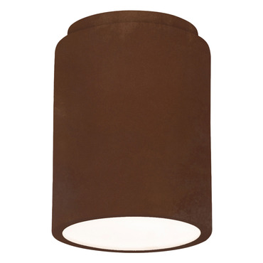 Radiance 6100 Outdoor Ceiling Light