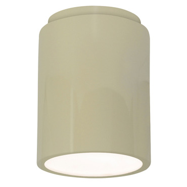 Radiance 6100 Outdoor Ceiling Light