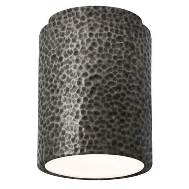 Radiance 6100 Outdoor Ceiling Light