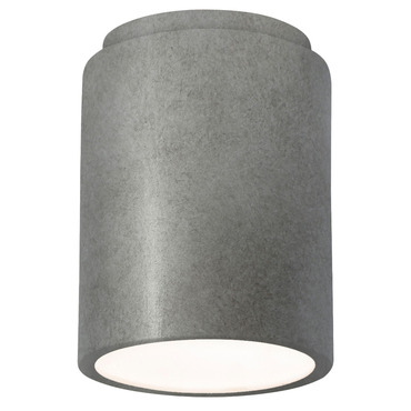 Radiance 6100 Outdoor Ceiling Light