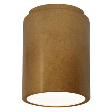 Radiance 6100 Outdoor Ceiling Light