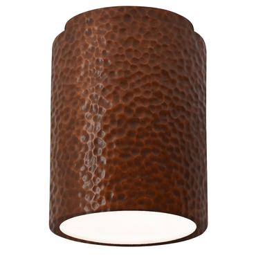Radiance 6100 Outdoor Ceiling Light