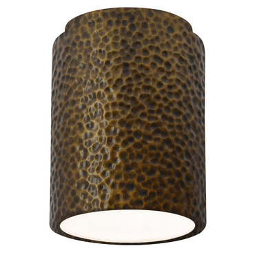 Radiance 6100 Outdoor Ceiling Light