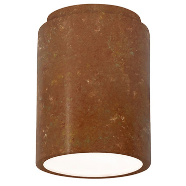 Radiance 6100 Outdoor Ceiling Light