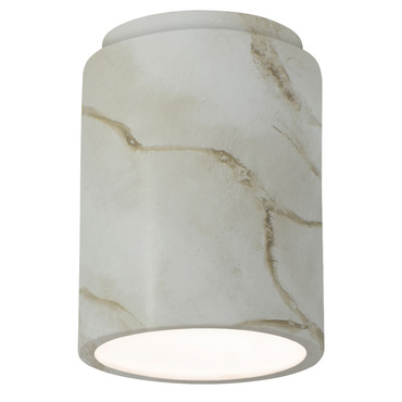Radiance 6100 Outdoor Ceiling Light