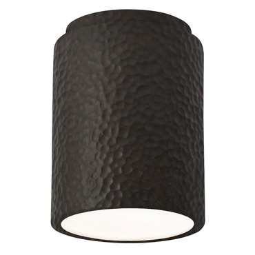Radiance 6100 Outdoor Ceiling Light