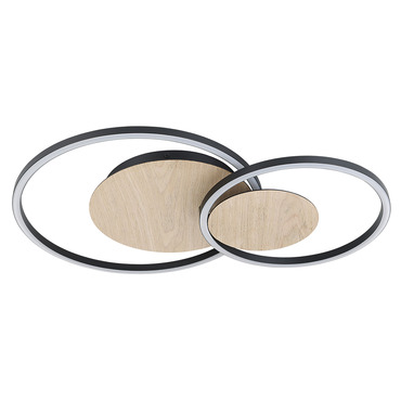 Palma Wall / Ceiling Light