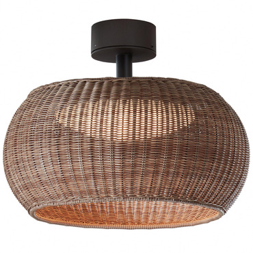 Perris Outdoor Ceiling Light