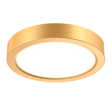 Delta Color Select Round Outdoor Wall / Ceiling Light
