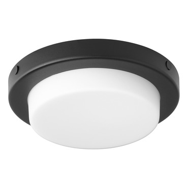 Trio Fan Light Kit | Quorum at Lightology Trio Fan Light Kit
