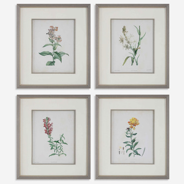Heirloom Blooms Study Framed Prints Set of 4 | Uttermost at Lightology Heirloom Blooms Study Framed Prints Set of 4