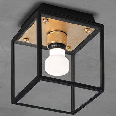 Caged Wet Wall / Ceiling Light