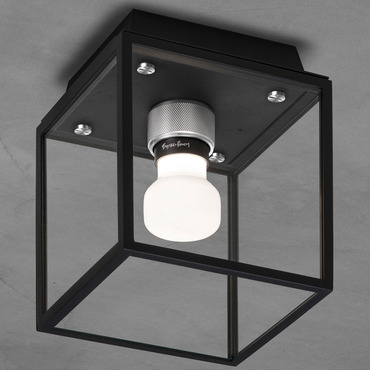Caged Wet Wall / Ceiling Light