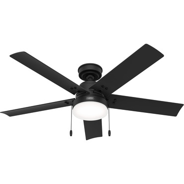 Sea Point Outdoor Ceiling Fan with Light | Hunter Fan at Lightology Sea Point Outdoor Ceiling Fan with Light