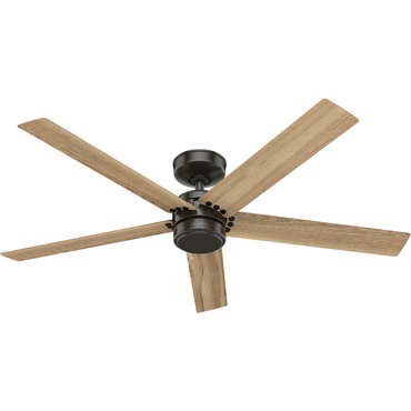 Burton Outdoor Ceiling Fan | Hunter Fan at Lightology Burton Outdoor Ceiling Fan