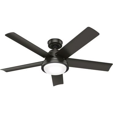 Seawall Outdoor 52 Inch Ceiling Fan with Light