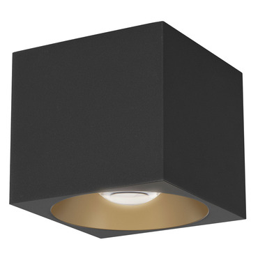Stout Square 120-277V Indoor/ Outdoor Ceiling Light