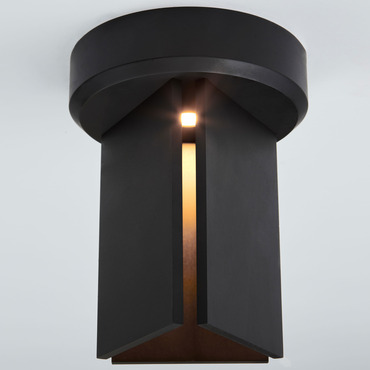 Delta Ceiling Light