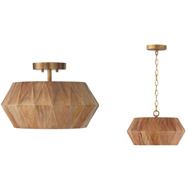 Nadeau Convertible Pendant | Capital Lighting at Lightology Nadeau Convertible Pendant