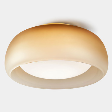 Medusa Wall / Ceiling Light | Carpyen at Lightology Medusa Wall / Ceiling Light