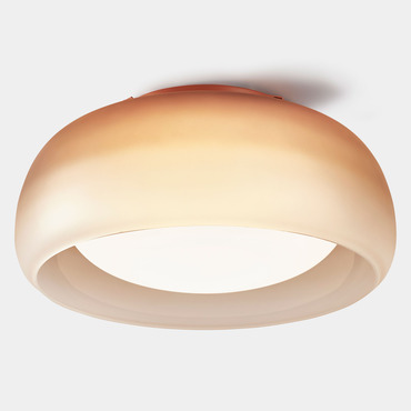 Medusa Wall / Ceiling Light | Carpyen at Lightology Medusa Wall / Ceiling Light