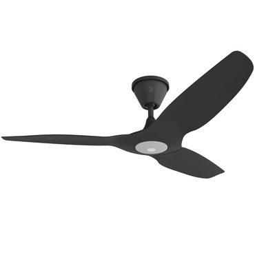 Haiku L Coastal Marine Grade Ceiling Fan with Light
