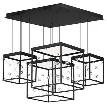 Entanglement Multi Light Pendant