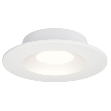 Crisp Color Select LED Ceiling Light