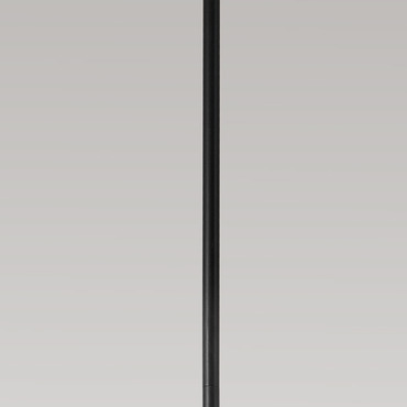 Ambrosia Pro Downrod