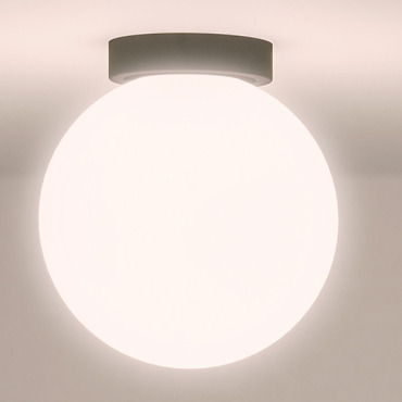Asteroide Ceiling Light | Nemo at Lightology Asteroide Ceiling Light