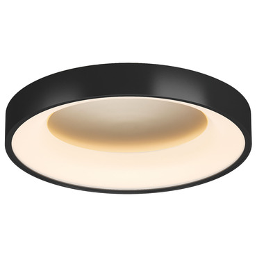 Nortic Ceiling Light | PageOne at Lightology Nortic Ceiling Light