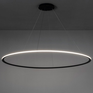 Circular 1 Ring Pendant - Open Box | LedsC4 at Lightology Circular 1 Ring Pendant - Open Box