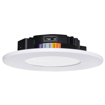 Connor Color-Select Ceiling Light