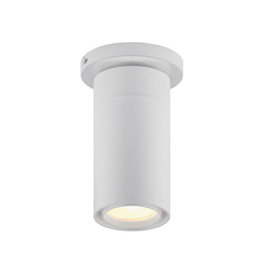 GX25 Ceiling Light