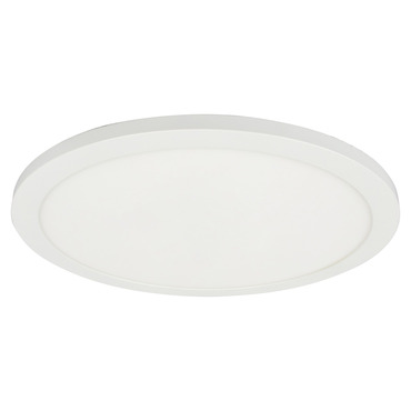 Franchesa Ceiling Light