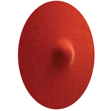 Acustica Wall / Ceiling Light