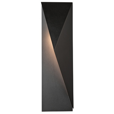 Carbon Outdoor Wall Sconce