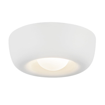 Hayden Ceiling Light