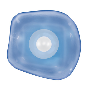 Embark Disc Wall Sconce