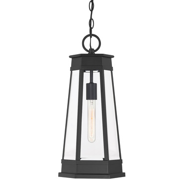 Payne Outdoor Pendant