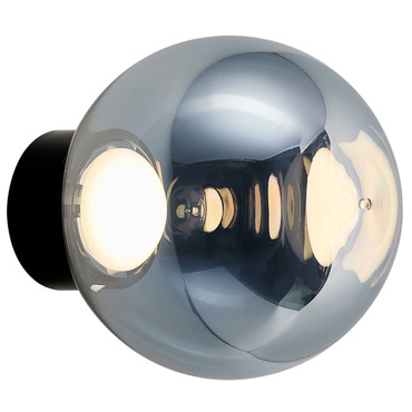 Globe Wall / Ceiling Light - Overstock