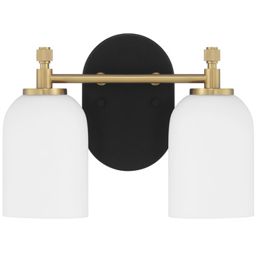 Council Bathroom Vanity Light