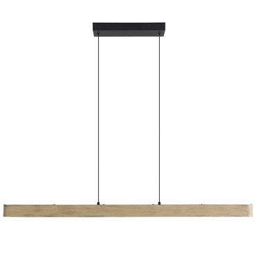 Silva Pendant | Golden Lighting at Lightology Silva Pendant