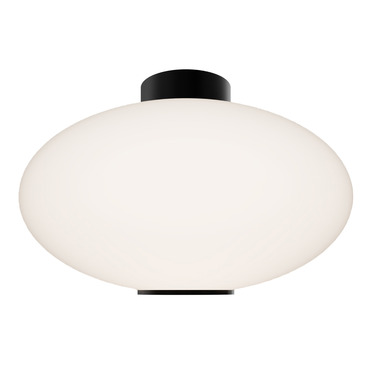 Illusion Color-Select Ceiling Light
