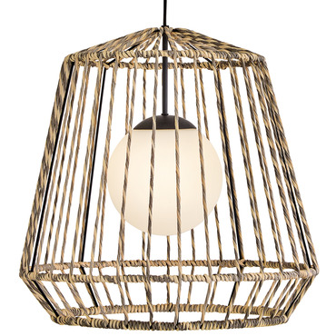 Arlen 120V Outdoor Pendant