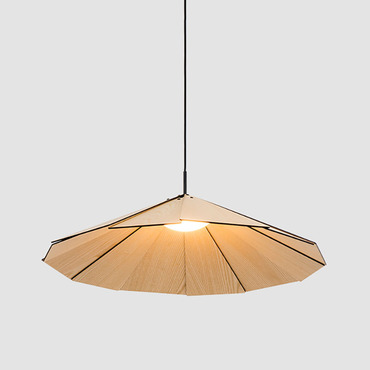 Sepal Pendant | ZANEEN design at Lightology Sepal Pendant